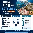 harina de pescado estandar.webp